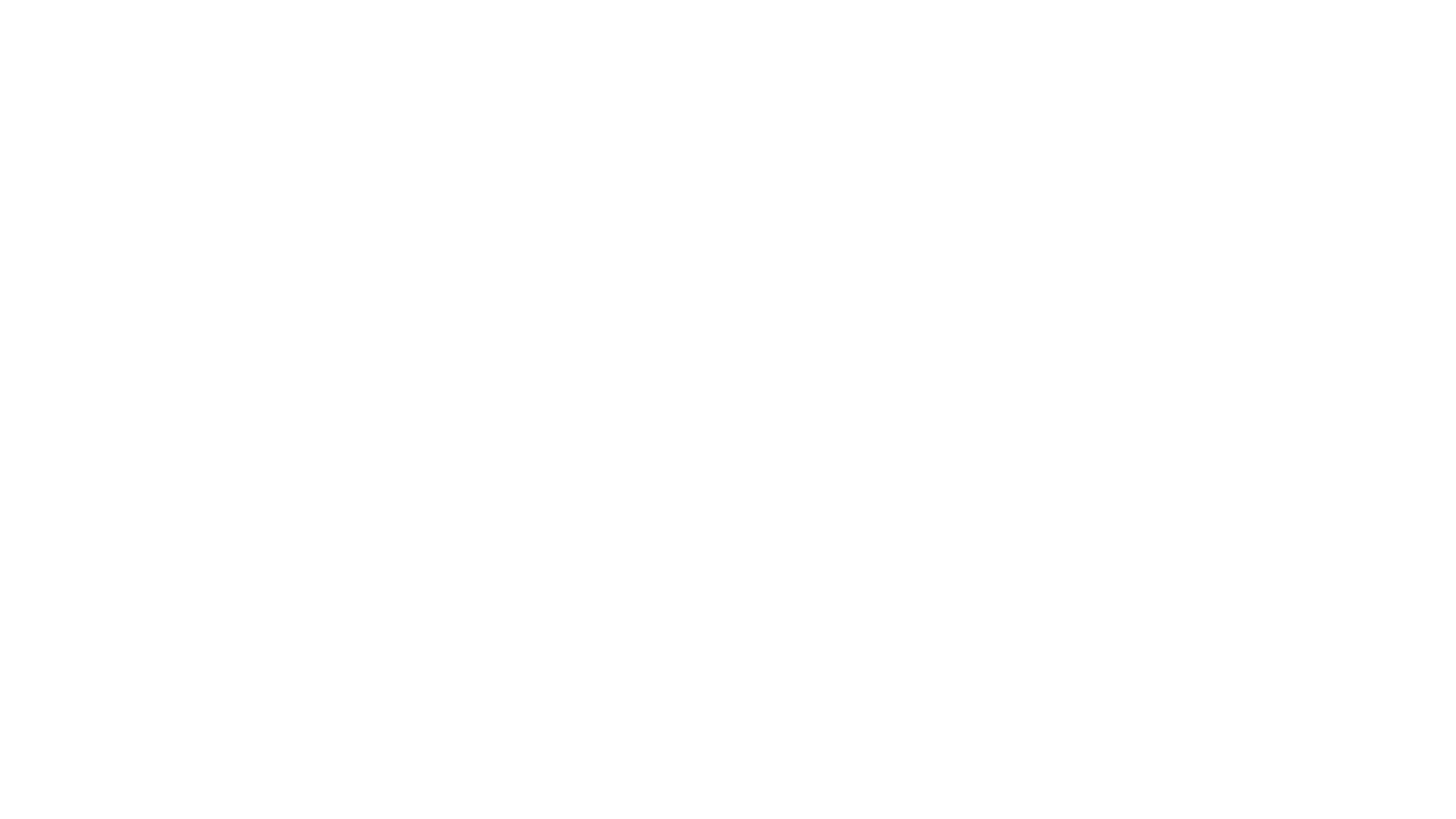 Zebra Estratégia Digital